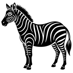Fototapeta premium zebra vector illustration