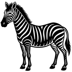 Fototapeta premium zebra vector illustration