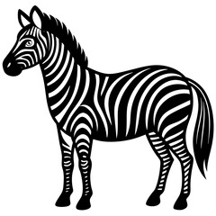 Obraz premium zebra vector illustration