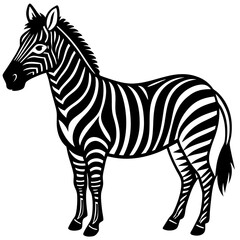 Obraz premium zebra vector illustration