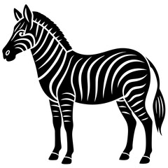Obraz premium zebra vector illustration