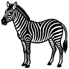 Obraz premium zebra vector illustration