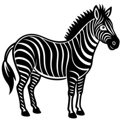 Obraz premium zebra vector illustration