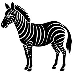 Obraz premium zebra vector illustration