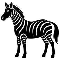 Obraz premium zebra isolated on white