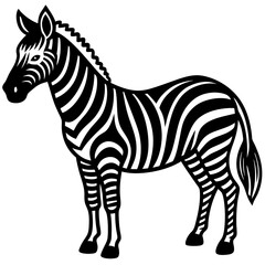 Obraz premium zebra vector illustration
