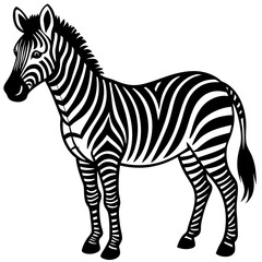 Obraz premium zebra vector illustration