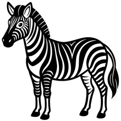zebra vector illustration