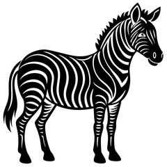 Fototapeta premium zebra vector illustration