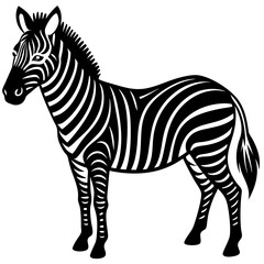 Fototapeta premium zebra vector illustration