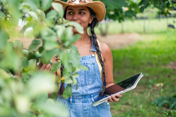Latin farmer woman checking plants with tablet in orchard