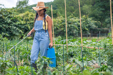 Latin farmer woman spraying insecticide in a vegetable garden
