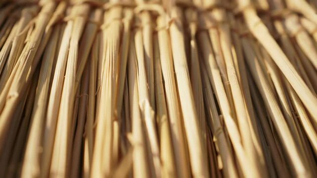 Thatched roof detail with soft sunlight creating shadows