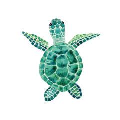 Fototapeta premium watercolor green emerald sea turtle 
