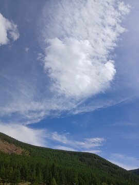 sky and clouds, forest,mongolia,bogd uul,mountain
