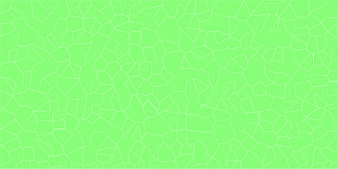 Fototapeta premium A Cartographic Vision of Cracked Terrain