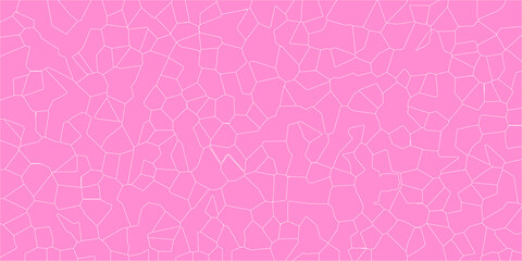 A Cartographic Vision of Cracked Terrain

