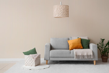 White living room with comfortable sofa, houseplant, lamp and pillows