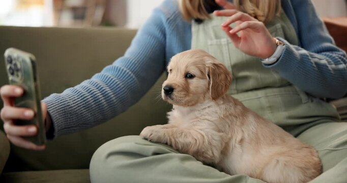 Hands, puppy and selfie on sofa, home and peace sign for post on web, relax and bonding in living room. Person, pet dog and golden retriever with photography, profile picture and v emoji at apartment