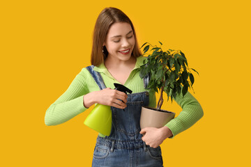 Beautiful young woman with water sprayer and houseplant on yellow background