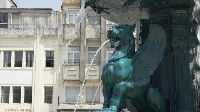 View of the Fountain of the Lions (Portuguese: Fonte dos Le&otilde;es), in the civil parish of Cedofeita, Porto. Close up on one of the lions with some water flowing from his mouth, no people around. 4K.