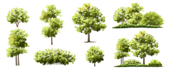  Vector watercolor green  tree or forest side view isolated on white background for landscape and architecture drawing,elements for environment or and garden,Shrub for section