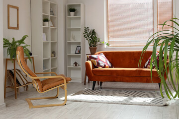 Cozy sofa with cushions, armchair and houseplants in living room