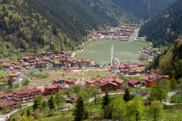 Lake view through the trees (Türkiye Trabzon Uzungöl)