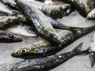 Fresh sardines at a market