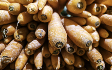 Carrots in the market