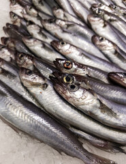 Obraz premium Fresh sardines at a market