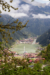 Lake view through the trees (Türkiye Trabzon Uzungöl)