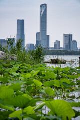 skyline at sunset in Suzhou, China
