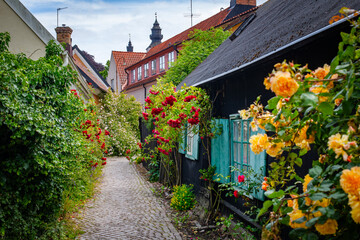 Narrow street in the historical old town in Visby, Sweden