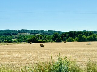 Dry agricultural meadows in Baix Empordà, Catalonia, Spain.