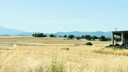 Dry agricultural meadows in Baix Empordà, Catalonia, Spain.
