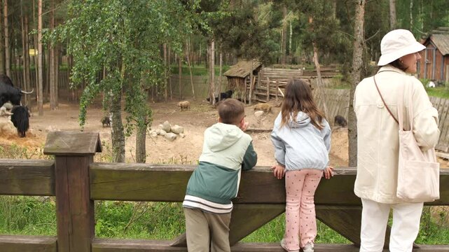 Family observing yak herd at wildlife park
