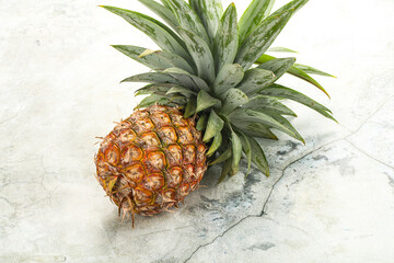 Tropical sweet exotic Pineapple fruit