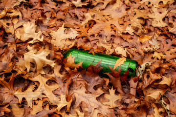 Abandoned green bottle buried in dry leaves