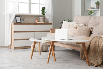 Interior of stylish living room with chest of drawers, sofa and coffee table