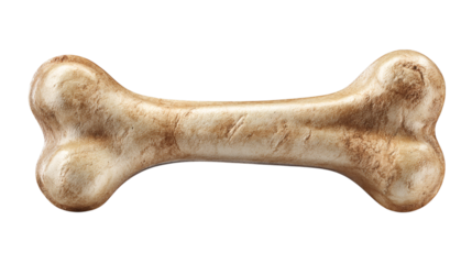 Dog bone chew toy or real bone illustration, isolated on transparent 