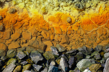 the edge of the lake polluted with toxic mining chemical residuals