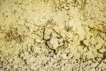 the edge of the lake polluted with toxic mining chemical residuals