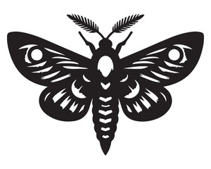 Obraz premium Moth 4.eps