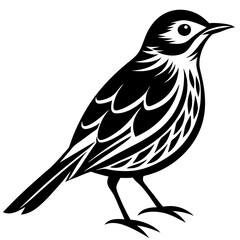 Obraz premium vector illustration of a bird