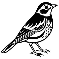 vector illustration of a bird