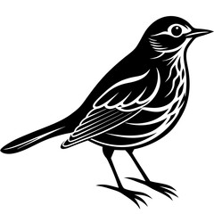 Fototapeta premium bird on a branch