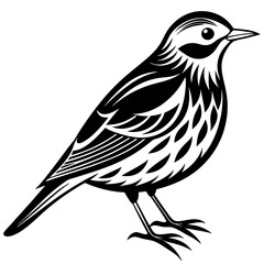 Fototapeta premium bird on a branch
