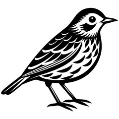Obraz premium vector illustration of a bird