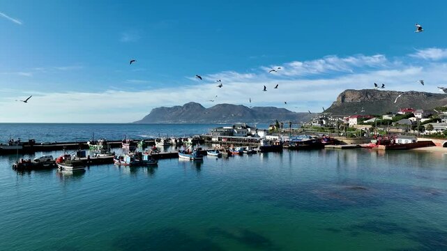 Aerial view of Kalk Bay harbour, Cape Town, South Africa.